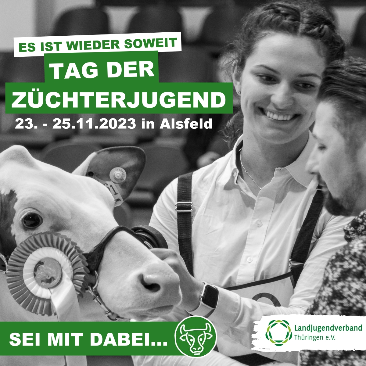 TDZ_01